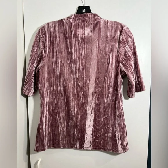 Anthropologie Pilcro Velveteen Mock Neck Pullover Top Size Medium - Picture 3 of 9